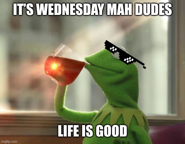 It’s Wednesday Homies | IT’S WEDNESDAY MAH DUDES; LIFE IS GOOD | image tagged in memes,but that's none of my business neutral | made w/ Imgflip meme maker