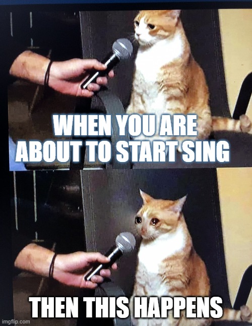 Cat interview crying | WHEN YOU ARE ABOUT TO START SING; THEN THIS HAPPENS | image tagged in cat interview crying | made w/ Imgflip meme maker