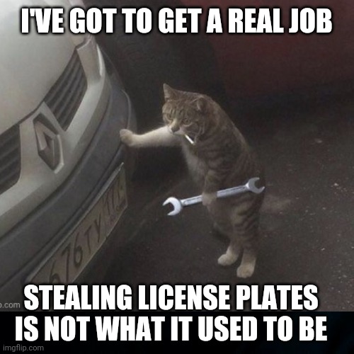 Get a Job | I'VE GOT TO GET A REAL JOB; STEALING LICENSE PLATES IS NOT WHAT IT USED TO BE | image tagged in mechanic,need a job,cats,funny cat memes,cat burglar,funny | made w/ Imgflip meme maker