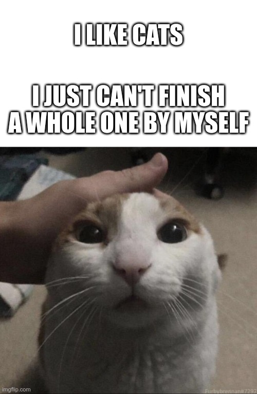 Tastes like chicken | I LIKE CATS; I JUST CAN'T FINISH A WHOLE ONE BY MYSELF | image tagged in me petting my cat | made w/ Imgflip meme maker