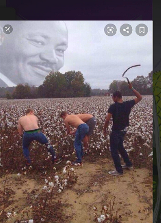 High Quality Dr. MLK would be....proud(???) Blank Meme Template