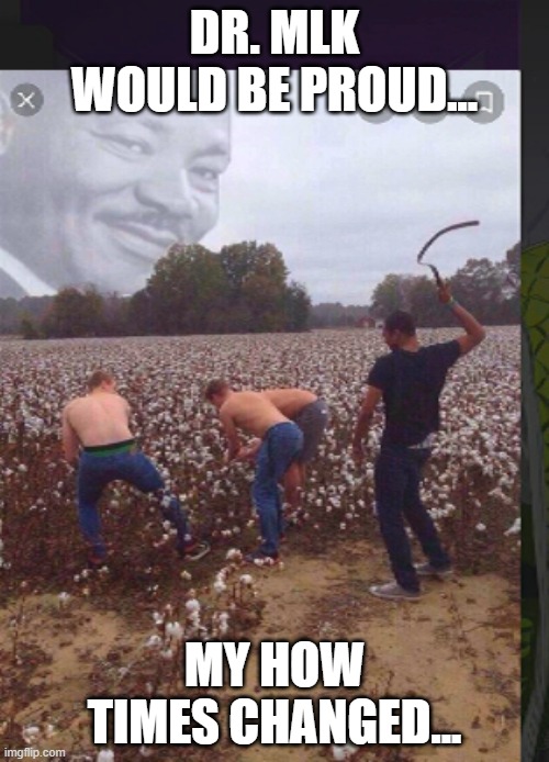 Dr. MLK would be....proud(???) | DR. MLK WOULD BE PROUD... MY HOW TIMES CHANGED... | image tagged in dr mlk would be proud | made w/ Imgflip meme maker