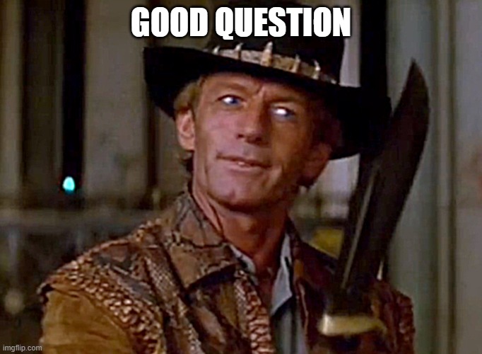 Crocodile Dundee Knife | GOOD QUESTION | image tagged in crocodile dundee knife | made w/ Imgflip meme maker