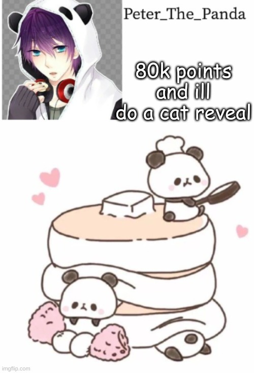 Kitty :) | 80k points and ill do a cat reveal | image tagged in peter_the_panda template | made w/ Imgflip meme maker