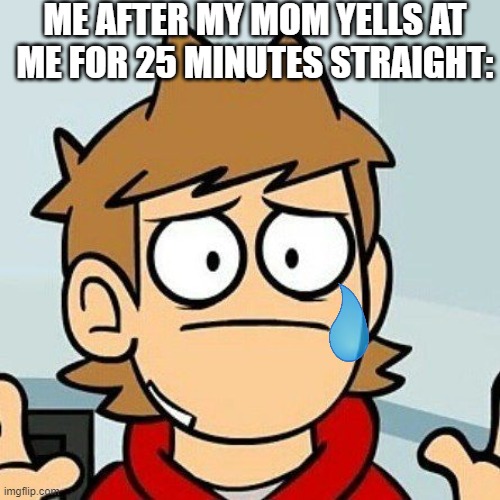 please stop | ME AFTER MY MOM YELLS AT ME FOR 25 MINUTES STRAIGHT: | image tagged in eddsworld | made w/ Imgflip meme maker