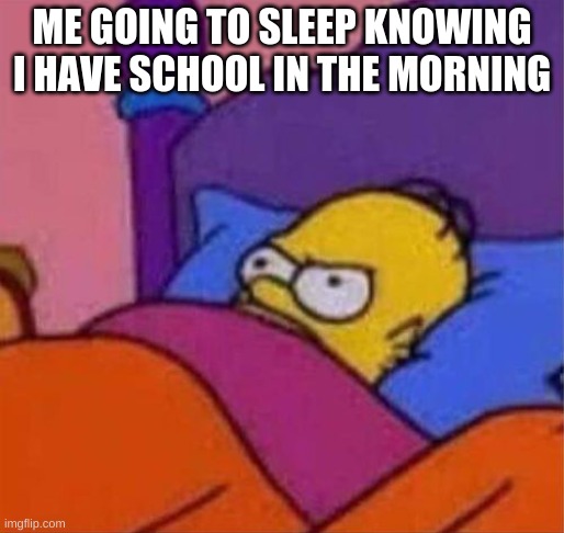 any one else? | ME GOING TO SLEEP KNOWING I HAVE SCHOOL IN THE MORNING | image tagged in angry homer simpson in bed | made w/ Imgflip meme maker