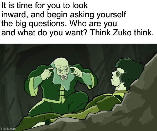 Think Zuko Think | It is time for you to look inward, and begin asking yourself the big questions. Who are you and what do you want? Think Zuko think. | image tagged in think zuko think,memes,avatar the last airbender,avatar | made w/ Imgflip meme maker