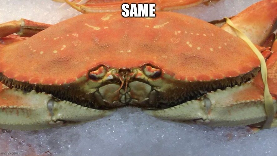 Sad Crab | SAME | image tagged in sad crab | made w/ Imgflip meme maker