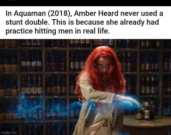 Damn, it's true tho. | image tagged in amber heard,aquaman | made w/ Imgflip meme maker