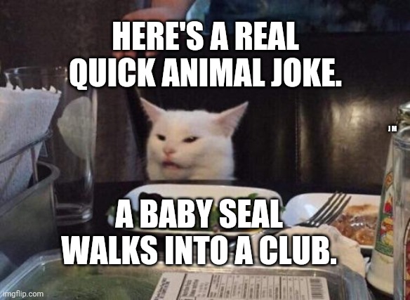 Salad cat | HERE'S A REAL QUICK ANIMAL JOKE. J M; A BABY SEAL WALKS INTO A CLUB. | image tagged in salad cat | made w/ Imgflip meme maker