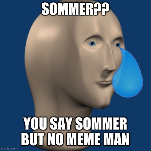 meme man | SOMMER?? YOU SAY SOMMER BUT NO MEME MAN | image tagged in meme man | made w/ Imgflip meme maker