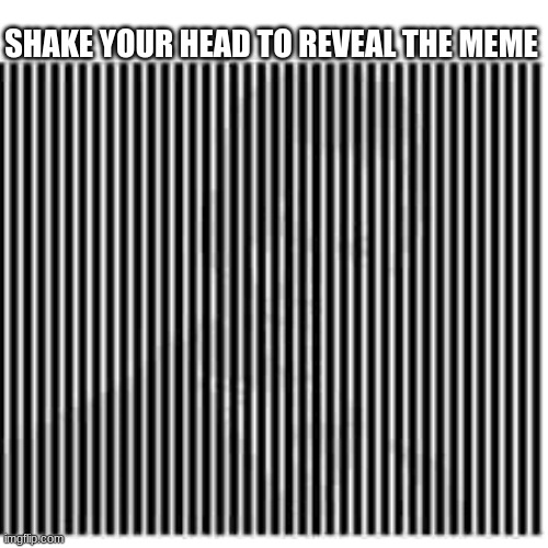Shake yo head side to side to believe |  SHAKE YOUR HEAD TO REVEAL THE MEME | image tagged in fun,optical illusion,cool,shake,funny | made w/ Imgflip meme maker