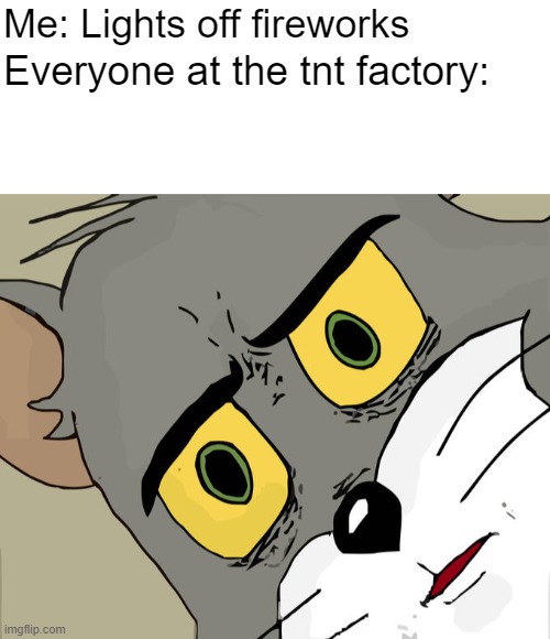 Self Explanatory | Me: Lights off fireworks; Everyone at the tnt factory: | image tagged in memes,unsettled tom,funni,but why | made w/ Imgflip meme maker