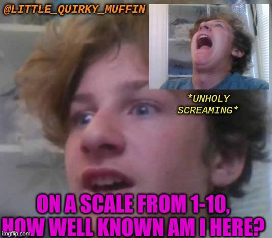 hmmm? | ON A SCALE FROM 1-10, HOW WELL KNOWN AM I HERE? | image tagged in hmmmm | made w/ Imgflip meme maker