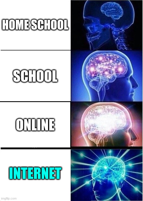 Expanding Brain Meme | HOME SCHOOL; SCHOOL; ONLINE; INTERNET | image tagged in memes,expanding brain | made w/ Imgflip meme maker