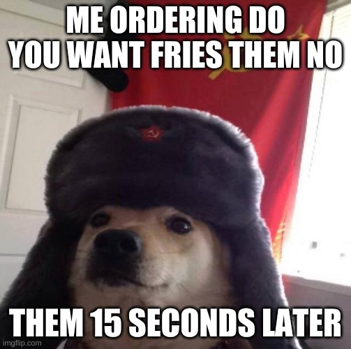 Russian Doge |  ME ORDERING DO YOU WANT FRIES THEM NO; THEM 15 SECONDS LATER | image tagged in russian doge | made w/ Imgflip meme maker