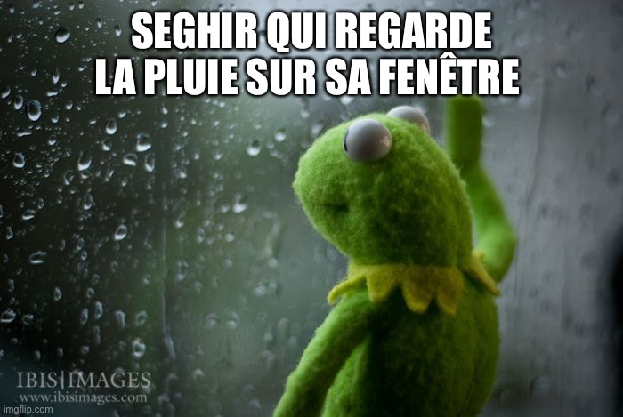 kermit window | SEGHIR QUI REGARDE LA PLUIE SUR SA FENÊTRE | image tagged in kermit window | made w/ Imgflip meme maker
