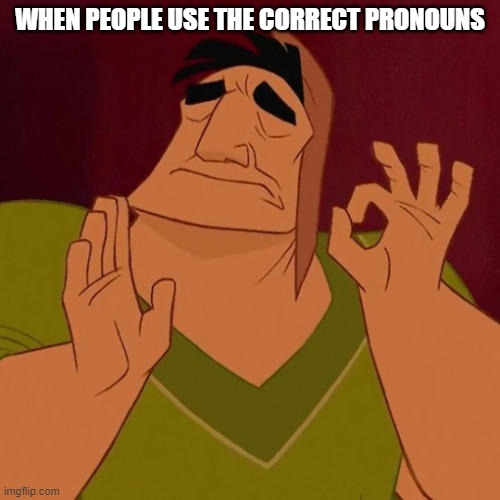 When People Use The Correct Pronouns Imgflip