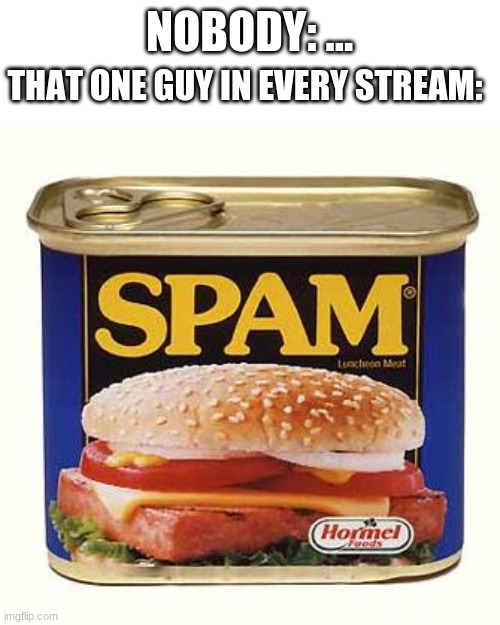 like why | NOBODY: ... THAT ONE GUY IN EVERY STREAM: | image tagged in spam | made w/ Imgflip meme maker