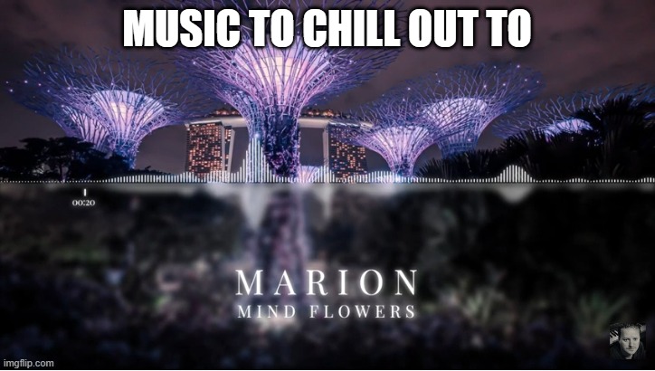 MUSIC FOR THE SOUL | MUSIC TO CHILL OUT TO | image tagged in marion music,music,music video | made w/ Imgflip meme maker