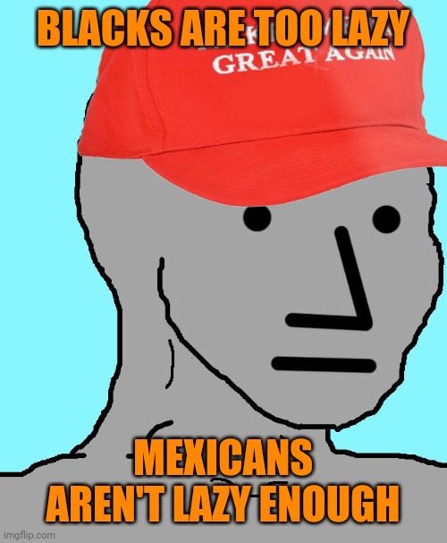 MAGA NPC | BLACKS ARE TOO LAZY MEXICANS AREN'T LAZY ENOUGH | image tagged in maga npc | made w/ Imgflip meme maker