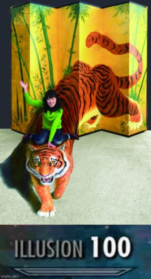 Lady riding a tiger optical illusion | image tagged in illusion 100,tiger,illusions,funny,memes,meme | made w/ Imgflip meme maker