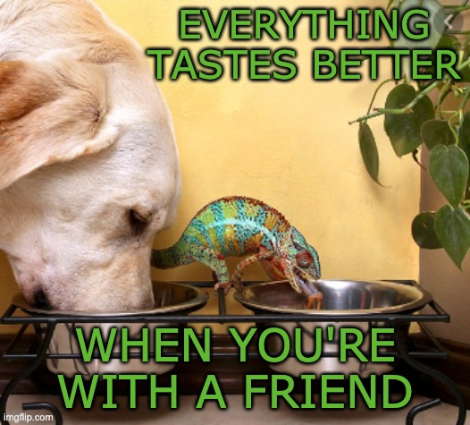 Two friends having drinks | EVERYTHING TASTES BETTER; WHEN YOU'RE WITH A FRIEND | image tagged in cute,lizard,chameleon,friends | made w/ Imgflip meme maker