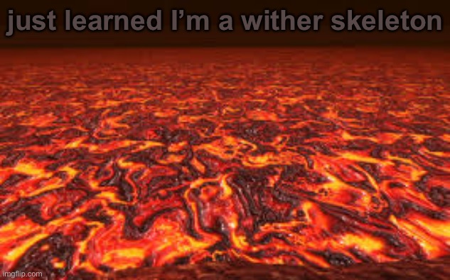 I USED PROCCES OF ELIMINATION | just learned I’m a wither skeleton | image tagged in lava | made w/ Imgflip meme maker