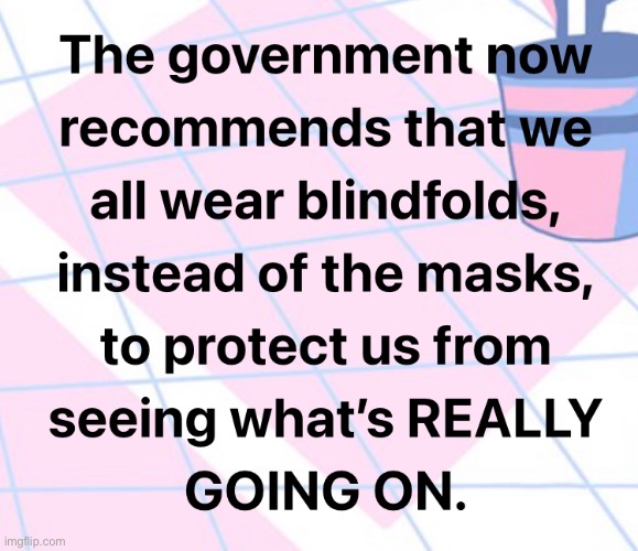 No thanks, I’ll leave the blindfolds to the left | image tagged in democratic party,liberal logic,joe biden,kamala harris,memes | made w/ Imgflip meme maker