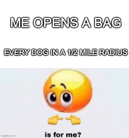 ME OPENS A BAG; EVERY DOG IN A 1/2 MILE RADIUS | image tagged in blank white template,is for me | made w/ Imgflip meme maker