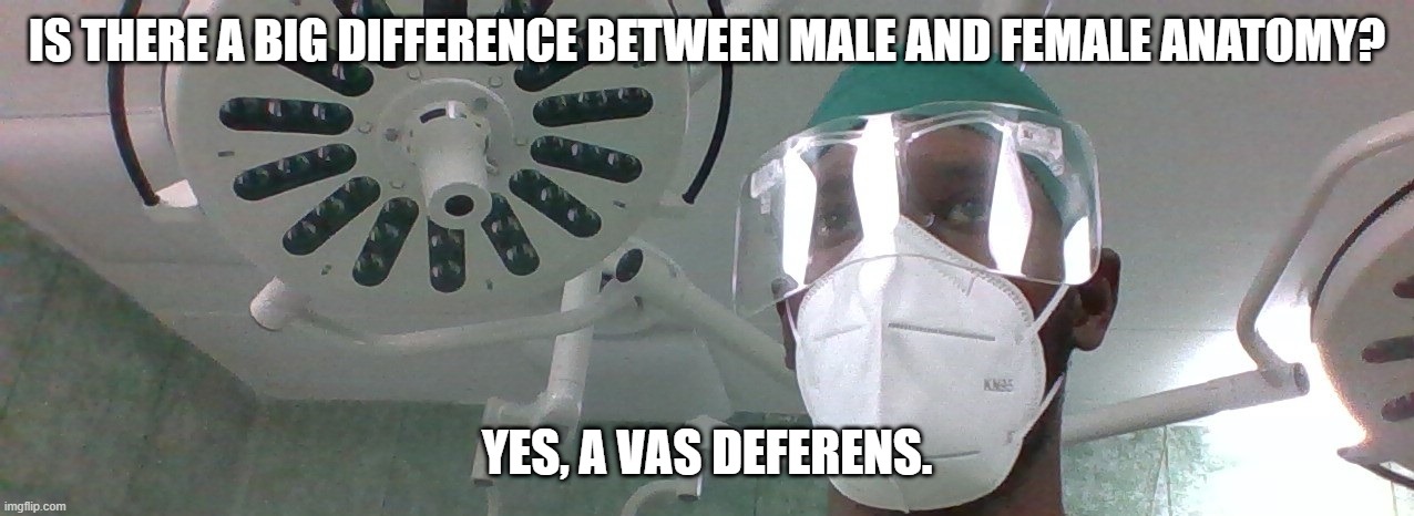 SURGERY GUY | IS THERE A BIG DIFFERENCE BETWEEN MALE AND FEMALE ANATOMY? YES, A VAS DEFERENS. | image tagged in medicine,surgery,medical school,student,jokes,doctor | made w/ Imgflip meme maker