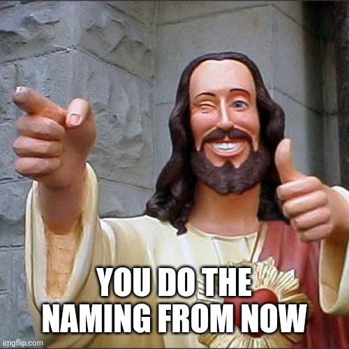 Buddy Christ Meme | YOU DO THE NAMING FROM NOW | image tagged in memes,buddy christ | made w/ Imgflip meme maker