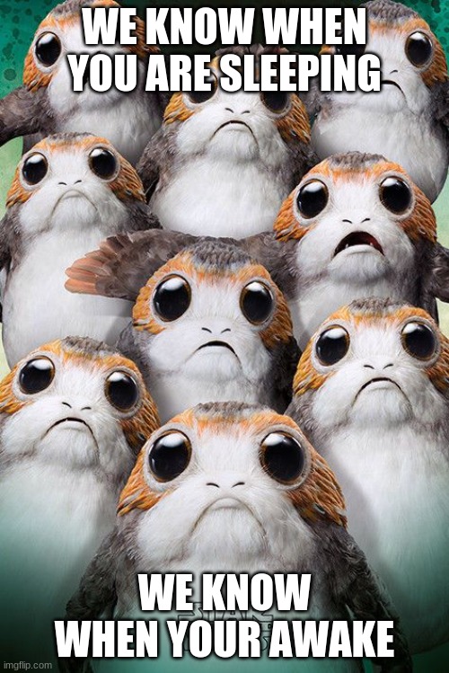 We're Watching You..... | WE KNOW WHEN YOU ARE SLEEPING; WE KNOW WHEN YOUR AWAKE | image tagged in star wars,star wars porg,really really really really really really scary,santa claus is a stalker,funny memes,we're watching | made w/ Imgflip meme maker