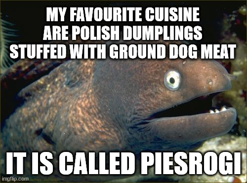 Yes, I love Polish food. | MY FAVOURITE CUISINE ARE POLISH DUMPLINGS STUFFED WITH GROUND DOG MEAT; IT IS CALLED PIESROGI | image tagged in bad joke eel,dogs,food,polish,meat,delicious | made w/ Imgflip meme maker