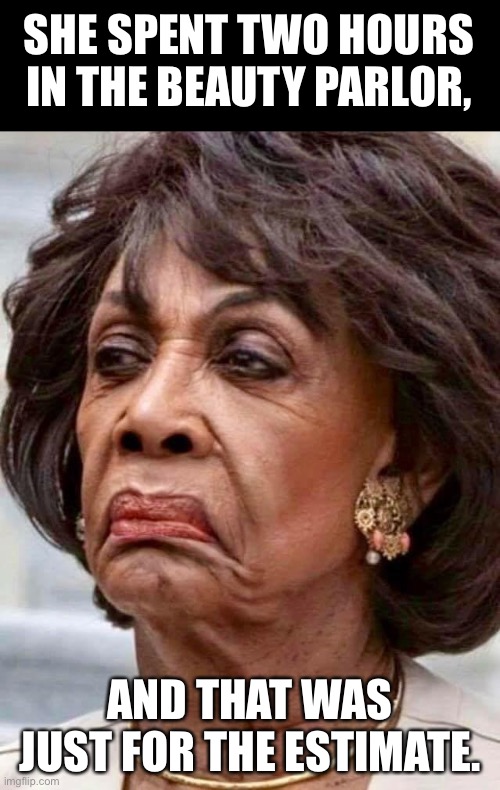 Maxine | SHE SPENT TWO HOURS IN THE BEAUTY PARLOR, AND THAT WAS JUST FOR THE ESTIMATE. | image tagged in maxine waters | made w/ Imgflip meme maker