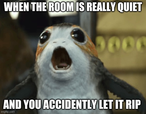 3....2....1....LET IT RIP! | WHEN THE ROOM IS REALLY QUIET; AND YOU ACCIDENTLY LET IT RIP | image tagged in fart,star wars porg,funny memes,let it go | made w/ Imgflip meme maker