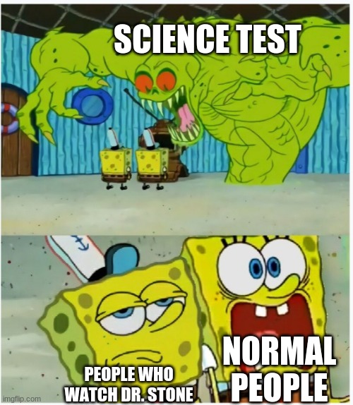 SpongeBob SquarePants scared but also not scared | SCIENCE TEST; NORMAL PEOPLE; PEOPLE WHO WATCH DR. STONE | image tagged in spongebob squarepants scared but also not scared | made w/ Imgflip meme maker