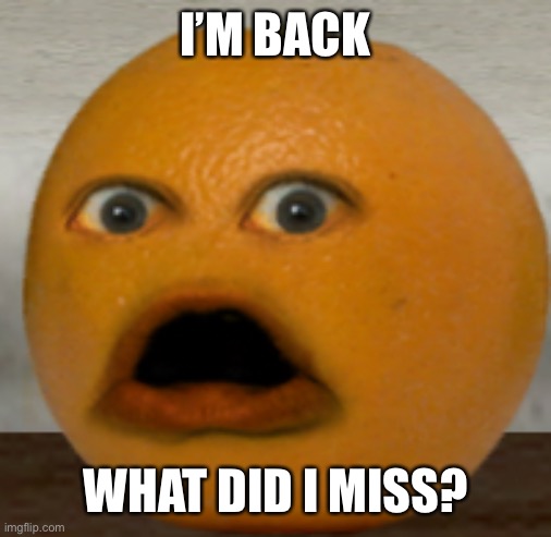 Shocked Orange | I’M BACK; WHAT DID I MISS? | image tagged in shocked orange | made w/ Imgflip meme maker