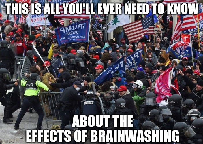 Capitol | THIS IS ALL YOU'LL EVER NEED TO KNOW ABOUT THE EFFECTS OF BRAINWASHING | image tagged in capitol | made w/ Imgflip meme maker