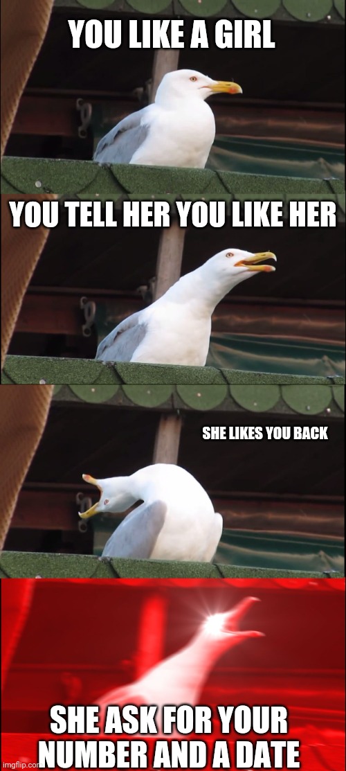 Nobody reads these titles |  YOU LIKE A GIRL; YOU TELL HER YOU LIKE HER; SHE LIKES YOU BACK; SHE ASK FOR YOUR NUMBER AND A DATE | image tagged in memes,inhaling seagull | made w/ Imgflip meme maker