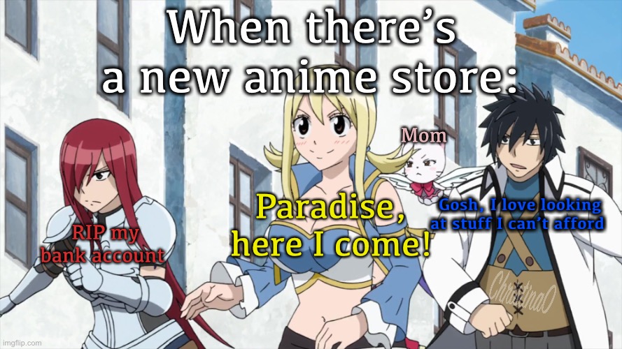Anime Store Meme (Fairy Tail) | When there’s a new anime store:; Mom; Paradise, here I come! Gosh, I love looking at stuff I can’t afford; RIP my bank account | image tagged in memes,anime,anime meme,fairy tail meme,weaboo,otaku | made w/ Imgflip meme maker