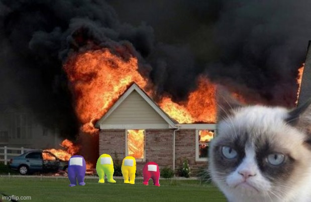 sus | image tagged in memes,burn kitty,grumpy cat | made w/ Imgflip meme maker