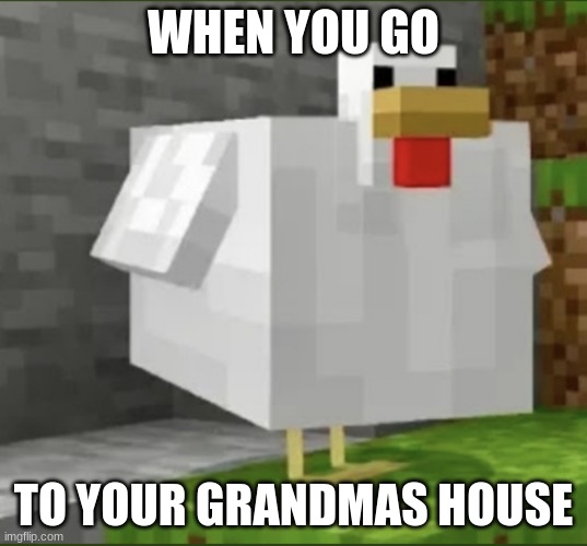 Cursed chicken | WHEN YOU GO; TO YOUR GRANDMAS HOUSE | image tagged in cursed chicken | made w/ Imgflip meme maker