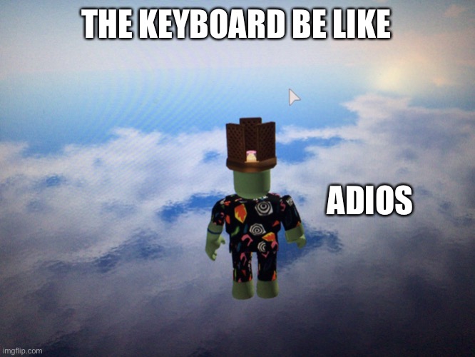 Roblox adios | THE KEYBOARD BE LIKE ADIOS | image tagged in roblox adios | made w/ Imgflip meme maker