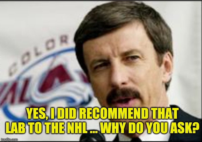 YES, I DID RECOMMEND THAT LAB TO THE NHL ... WHY DO YOU ASK? | image tagged in nhl,blues | made w/ Imgflip meme maker