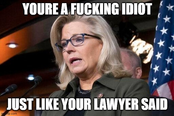 Liz Cheney | YOURE A FUCKING IDIOT JUST LIKE YOUR LAWYER SAID | image tagged in liz cheney | made w/ Imgflip meme maker