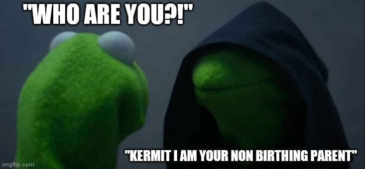 Evil Kermit | "WHO ARE YOU?!"; "KERMIT I AM YOUR NON BIRTHING PARENT" | image tagged in memes,evil kermit | made w/ Imgflip meme maker