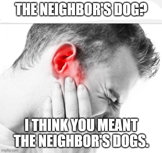 Music too loud | THE NEIGHBOR'S DOG? I THINK YOU MEANT THE NEIGHBOR'S DOGS. | image tagged in music too loud | made w/ Imgflip meme maker