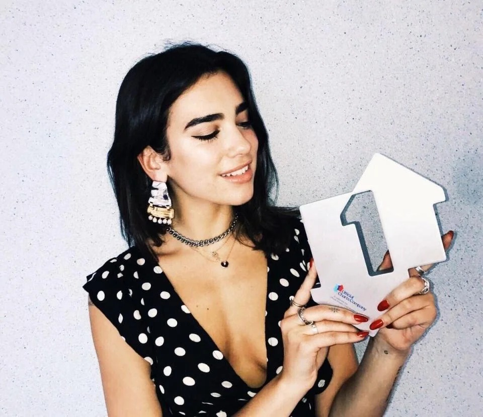 Dua Lipa 1 Blank Meme Template