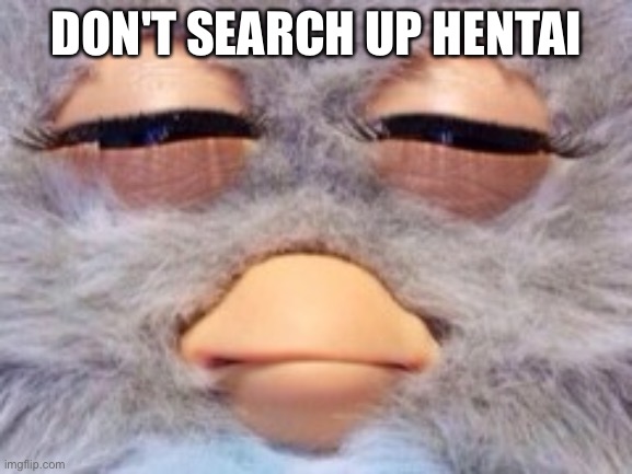 Plz don't | DON'T SEARCH UP HENTAI | image tagged in furby meme,hentai,rule 34,furby,don't search,oh wow are you actually reading these tags | made w/ Imgflip meme maker
